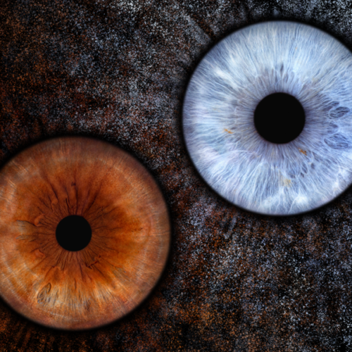 iris photography - macro - poza la ochi - tablou cuplu poze ochi iris - efectul explosion