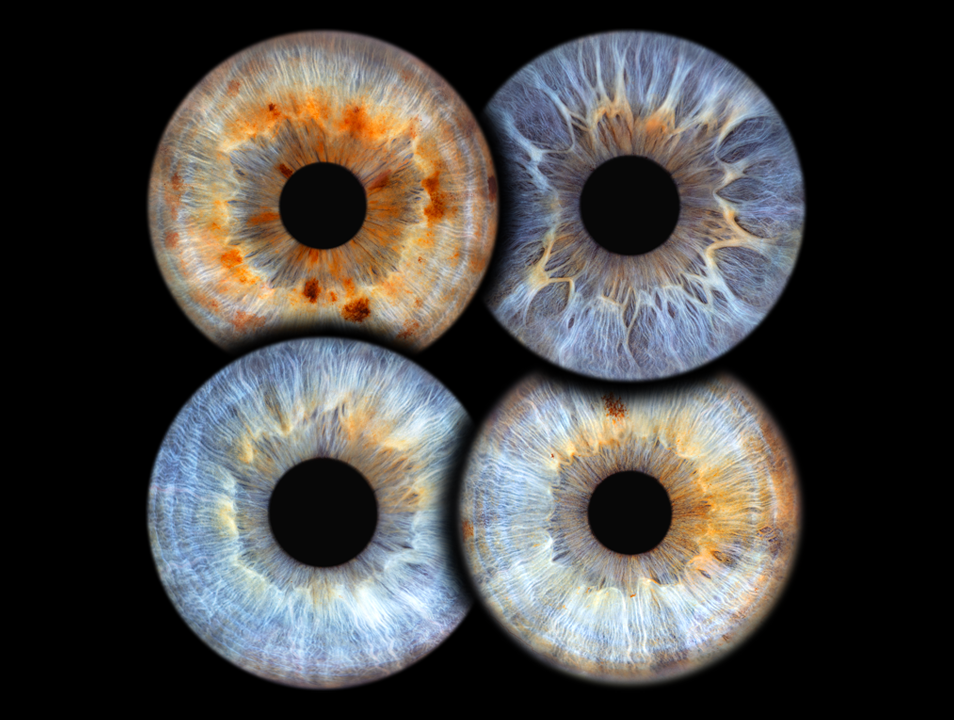 Tablou cu fotografie de iris pentru 4 persoane, familie completa realizata de PREYE